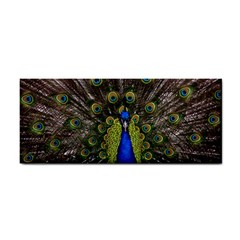 Peacock Bird Plumage Display Full Hand Towel by Wegoenart