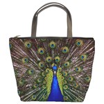 Peacock Bird Plumage Display Full Bucket Bag Front