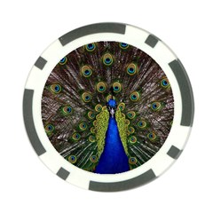 Peacock Bird Plumage Display Full Poker Chip Card Guard (10 Pack) by Wegoenart