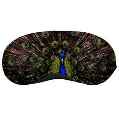 Peacock Bird Plumage Display Full Sleeping Masks by Wegoenart