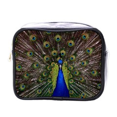 Peacock Bird Plumage Display Full Mini Toiletries Bag (one Side) by Wegoenart