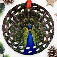 Peacock Bird Plumage Display Full Round Filigree Ornament (two Sides) by Wegoenart