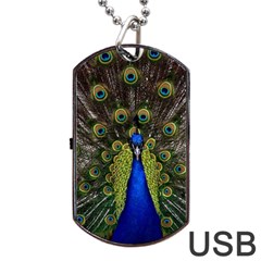 Peacock Bird Plumage Display Full Dog Tag Usb Flash (two Sides) by Wegoenart