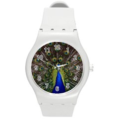 Peacock Bird Plumage Display Full Round Plastic Sport Watch (m) by Wegoenart