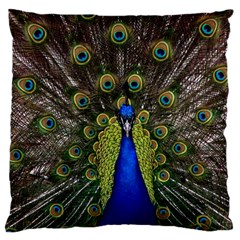 Peacock Bird Plumage Display Full Large Cushion Case (two Sides) by Wegoenart