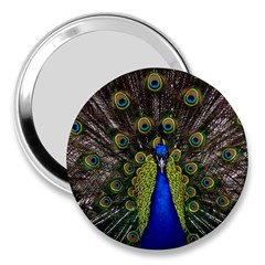 Peacock Bird Plumage Display Full 3  Handbag Mirrors by Wegoenart