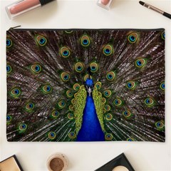 Peacock Bird Plumage Display Full Cosmetic Bag (xxxl) by Wegoenart