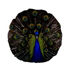 Peacock Bird Plumage Display Full Standard 15  Premium Round Cushions by Wegoenart