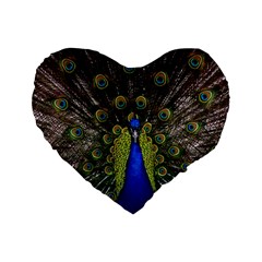 Peacock Bird Plumage Display Full Standard 16  Premium Heart Shape Cushions by Wegoenart