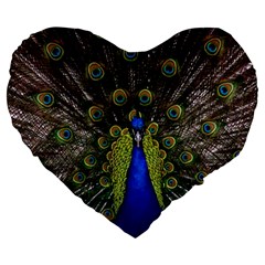 Peacock Bird Plumage Display Full Large 19  Premium Heart Shape Cushions by Wegoenart