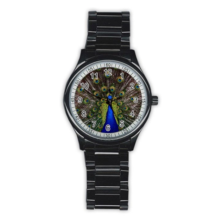 Peacock Bird Plumage Display Full Stainless Steel Round Watch