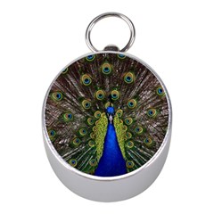 Peacock Bird Plumage Display Full Mini Silver Compasses by Wegoenart