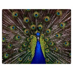 Peacock Bird Plumage Display Full Double Sided Flano Blanket (medium)  by Wegoenart