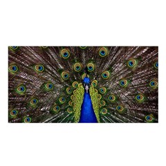 Peacock Bird Plumage Display Full Satin Shawl by Wegoenart