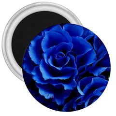 Blue Roses Flowers Plant Romance 3  Magnets by Wegoenart