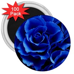 Blue Roses Flowers Plant Romance 3  Magnets (100 Pack) by Wegoenart