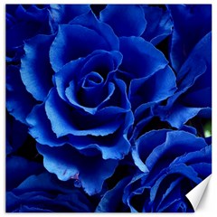 Blue Roses Flowers Plant Romance Canvas 12  X 12  by Wegoenart