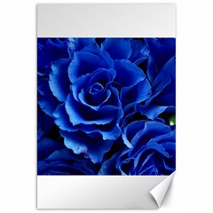 Blue Roses Flowers Plant Romance Canvas 20  X 30  by Wegoenart