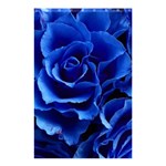 Blue Roses Flowers Plant Romance Shower Curtain 48  x 72  (Small)  Curtain(48  X 72 ) - 42.18 x64.8  Curtain(48  X 72 )