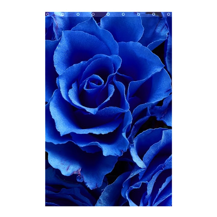 Blue Roses Flowers Plant Romance Shower Curtain 48  x 72  (Small) 