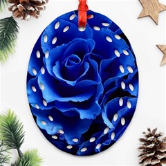 Blue Roses Flowers Plant Romance Ornament (oval Filigree) by Wegoenart