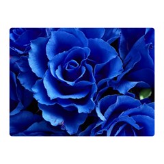 Blue Roses Flowers Plant Romance Double Sided Flano Blanket (mini)  by Wegoenart