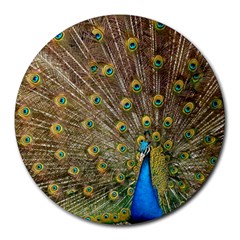 Peacock Plumage Bird Peafowl Round Mousepads by Wegoenart