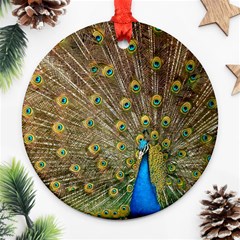 Peacock Plumage Bird Peafowl Ornament (round) by Wegoenart