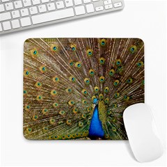 Peacock Plumage Bird Peafowl Large Mousepads by Wegoenart