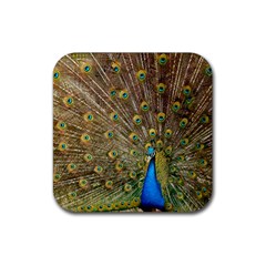 Peacock Plumage Bird Peafowl Rubber Coaster (square)  by Wegoenart