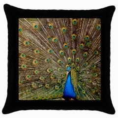 Peacock Plumage Bird Peafowl Throw Pillow Case (black) by Wegoenart