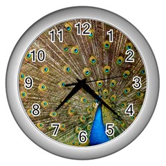 Peacock Plumage Bird Peafowl Wall Clock (silver) by Wegoenart