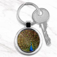 Peacock Plumage Bird Peafowl Key Chains (round)  by Wegoenart