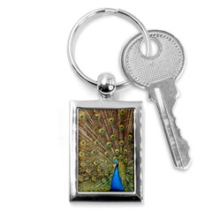 Peacock Plumage Bird Peafowl Key Chains (rectangle)  by Wegoenart