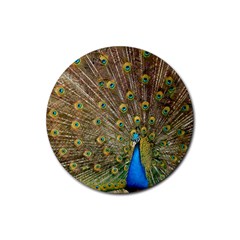 Peacock Plumage Bird Peafowl Rubber Round Coaster (4 Pack)  by Wegoenart