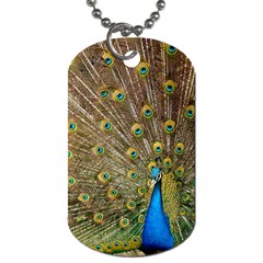 Peacock Plumage Bird Peafowl Dog Tag (one Side) by Wegoenart