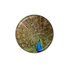 Peacock Plumage Bird Peafowl Hat Clip Ball Marker by Wegoenart