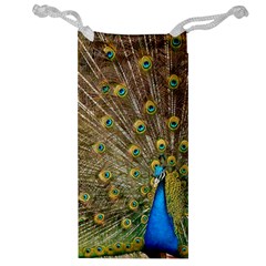 Peacock Plumage Bird Peafowl Jewelry Bag by Wegoenart