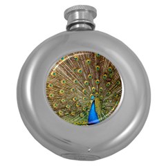 Peacock Plumage Bird Peafowl Round Hip Flask (5 Oz) by Wegoenart