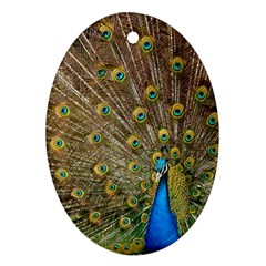 Peacock Plumage Bird Peafowl Oval Ornament (two Sides) by Wegoenart