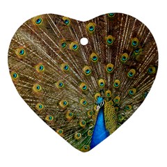 Peacock Plumage Bird Peafowl Heart Ornament (two Sides)