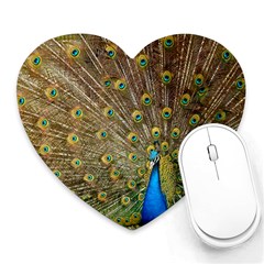 Peacock Plumage Bird Peafowl Heart Mousepads by Wegoenart