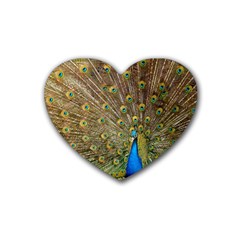 Peacock Plumage Bird Peafowl Rubber Coaster (heart)  by Wegoenart