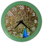 Peacock Plumage Bird Peafowl Color Wall Clock Front