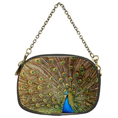 Peacock Plumage Bird Peafowl Chain Purse (one Side) by Wegoenart