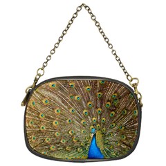 Peacock Plumage Bird Peafowl Chain Purse (two Sides) by Wegoenart