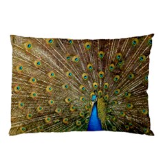 Peacock Plumage Bird Peafowl Pillow Case by Wegoenart