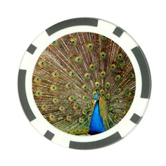 Peacock Plumage Bird Peafowl Poker Chip Card Guard (10 Pack) by Wegoenart