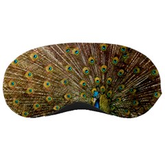 Peacock Plumage Bird Peafowl Sleeping Masks by Wegoenart