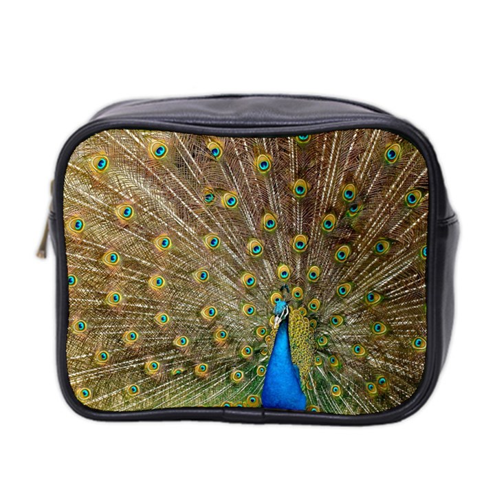 Peacock Plumage Bird Peafowl Mini Toiletries Bag (Two Sides)